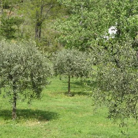 Domaine De Ji Montagnac (Alpes-de-Haute-Provence)