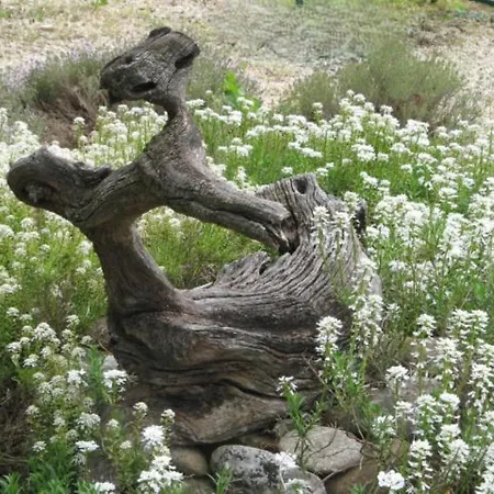 Domaine De Ji * Montagnac (Alpes-de-Haute-Provence)